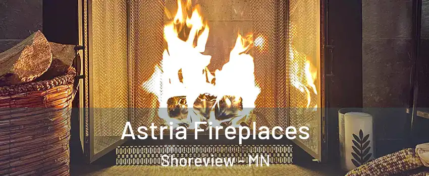 Astria Fireplaces Shoreview - MN