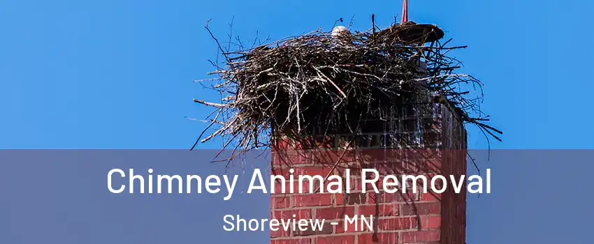  Chimney Animal Removal Shoreview - MN