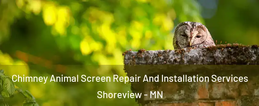 Chimney Animal Screen Repair And Installation Services Shoreview - MN