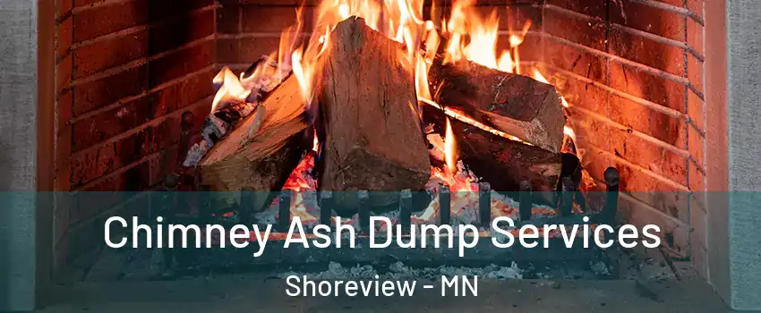  Chimney Ash Dump Services Shoreview - MN