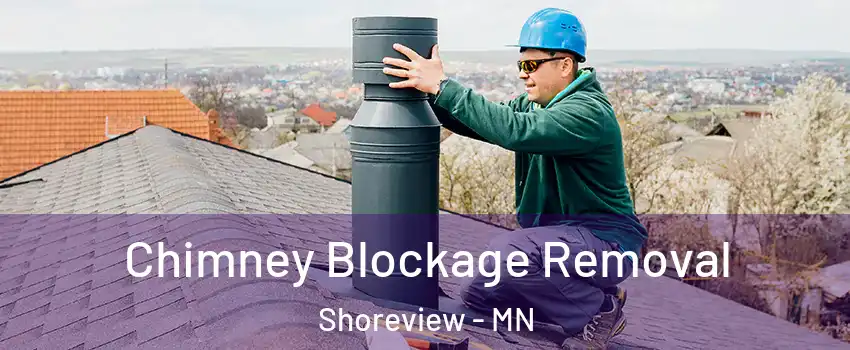  Chimney Blockage Removal Shoreview - MN