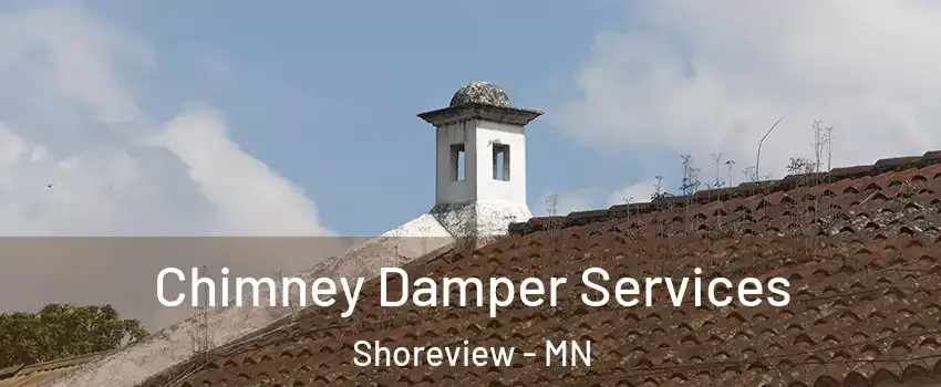  Chimney Damper Services Shoreview - MN