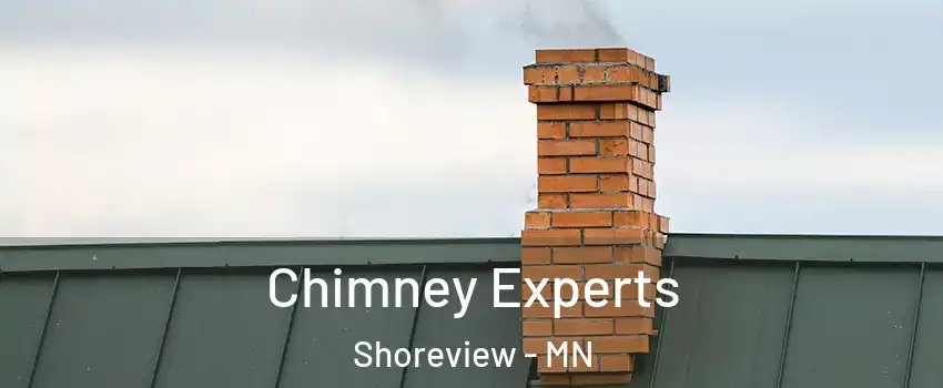 Chimney Experts Shoreview - MN