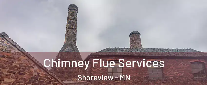  Chimney Flue Services Shoreview - MN