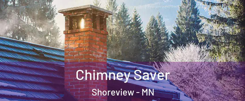  Chimney Saver Shoreview - MN