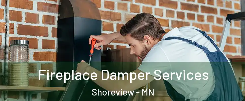  Fireplace Damper Services Shoreview - MN