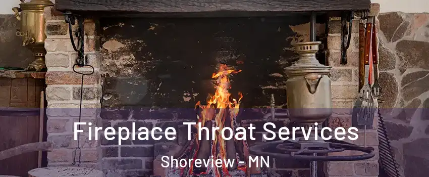  Fireplace Throat Services Shoreview - MN