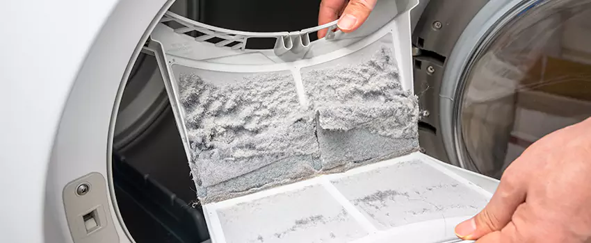 Best Dryer Lint Removal Company in Shoreview, Minnesota