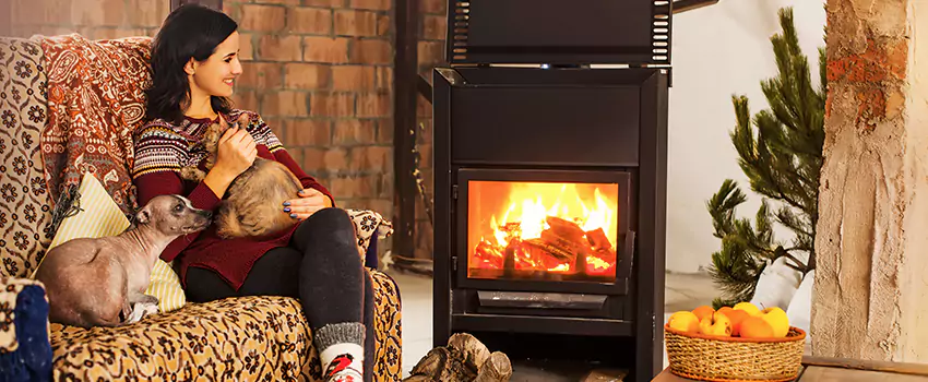 Wood Stove Chimney Cleaning Services in Shoreview, MN