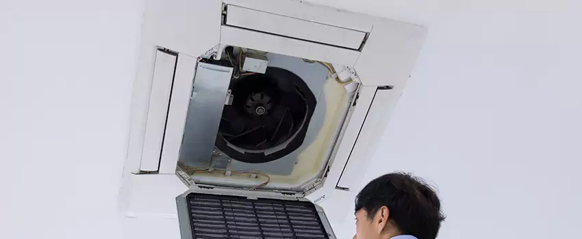 Benefits of Professional Air Duct Cleaning in Shoreview, Minnesota