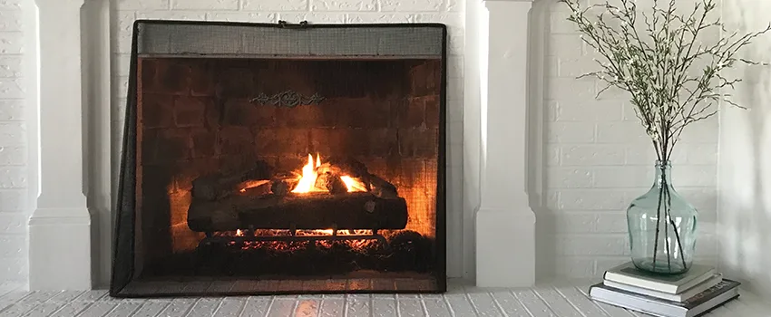 Cost-Effective Fireplace Mantel Inspection And Maintenance in Shoreview, MN