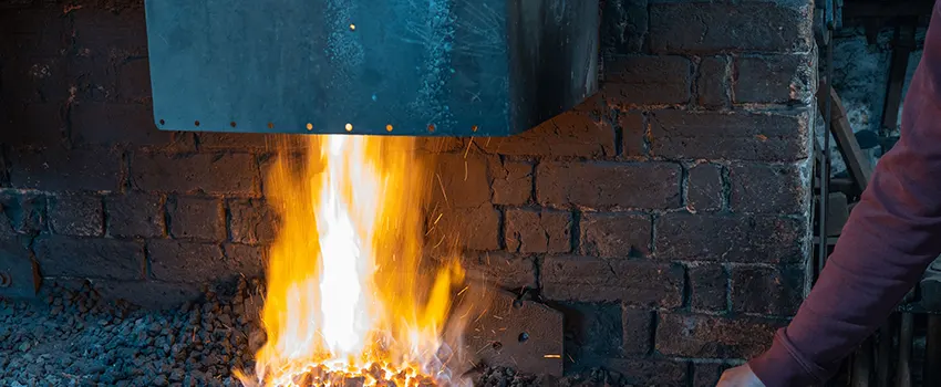 Fireplace Throat Plates Repair and installation Services in Shoreview, MN