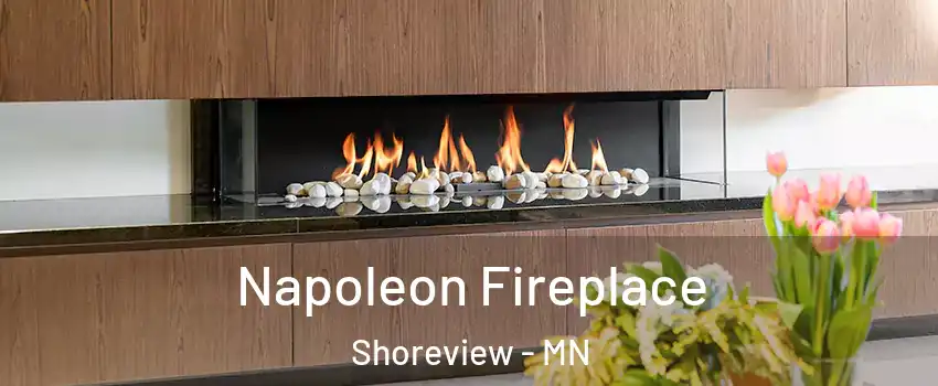  Napoleon Fireplace Shoreview - MN