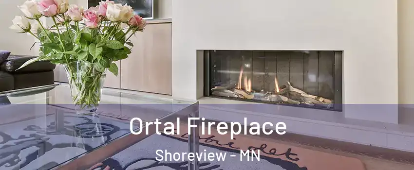 Ortal Fireplace Shoreview - MN