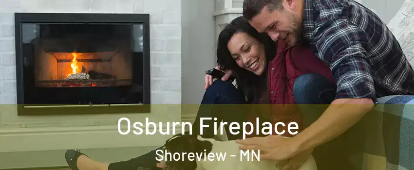  Osburn Fireplace Shoreview - MN